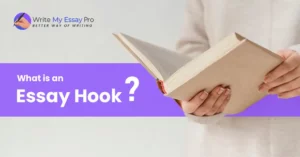 Essay Hook Examples